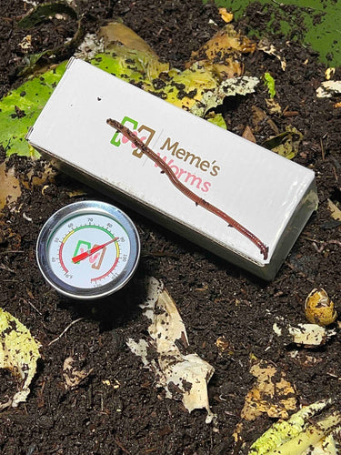 Meme's Worm Thermometer (SC)