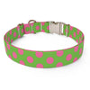 Pink and Green Polka Dot Dog Collar