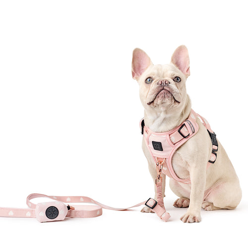 The NoMad Adjustable Luxe Harness - Sweetheart