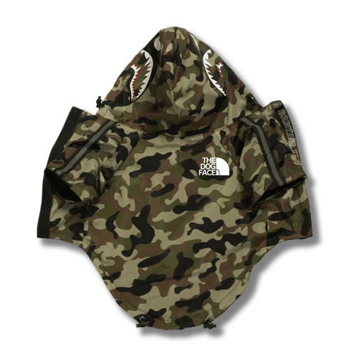 Mountain Quest Jacket