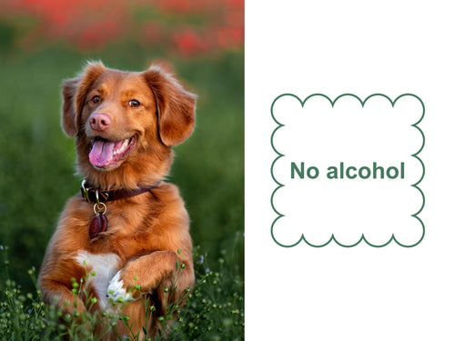 Mr. Peanut's Naturals Plant Based, Flushable, Compostable, Unscented Pet Wipes, 160 Count, Larger 8x6 Size