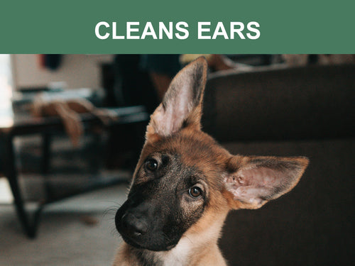 Mr. Peanut's Naturals Plant Based, Flushable, Compostable, Unscented Pet Wipes, 160 Count, Larger 8x6 Size