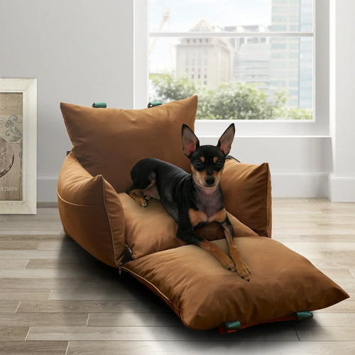 Multifunction Dog Car seat Luxury Dog Travel Bed Outdoor Pet Carrier bags Booster Seat with Safety dog Leash in side