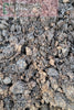 Mushroom Compost
