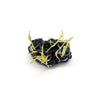 Dwarf Aquarium Lily Bulb