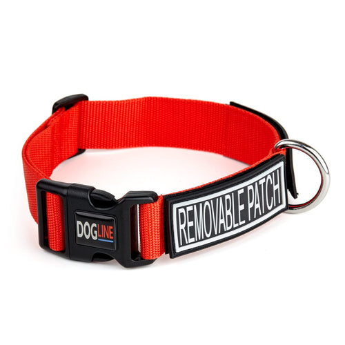 Omega Nylon Flat Collar + Built-in Hook & Loop Fastener