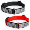 Dogline Omega Nylon Dog Collar with Space for Removable Patches