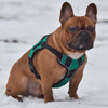 Dogline Quest Multi-Purpose No Pull Dog Harness
