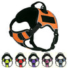 Dogline Quest Multi-Purpose No Pull Dog Harness