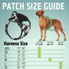 Dogline Quest Multi-Purpose No Pull Dog Harness
