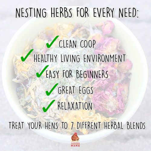 Nesting Herb Starter Bundle-- 7 Different Nesting & Coop Herbs