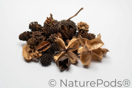 Mini/Nano Seed Pod Variety Pack - 37 Pieces
