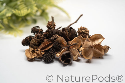 Mini/Nano Seed Pod Variety Pack - 37 Pieces