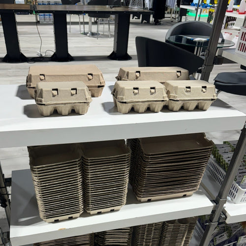 6-Egg Cartons - Natural Pulp, Flat Blank Top