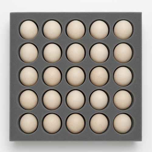 Eastern Wild Turkey Hatching Eggs