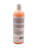 Neem Oil Oatmeal Shampoo - Soothes & Relieves Itching - Insect Repellant