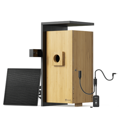 Birdfy Nest Duo - Smart Bird House with Dual Cameras