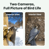 Birdfy Nest Duo - Smart Bird House with Dual Cameras