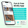 Birdfy Nest - Wooden Smart Birdhouse with Camera