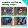 Birdfy Nest - Wooden Smart Birdhouse with Camera