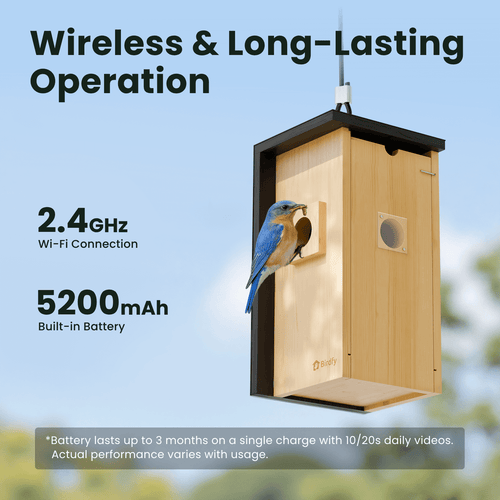 Birdfy Nest - Wooden Smart Birdhouse with Camera