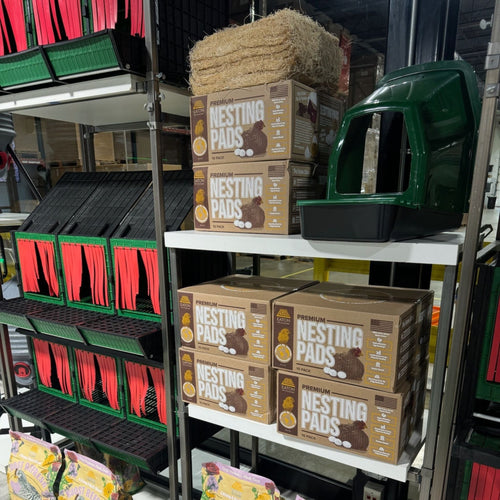 Nesting Box - 2 Sections - Back Collection