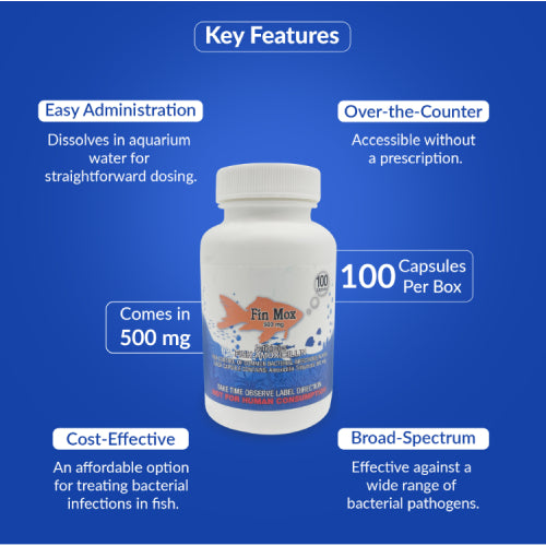 Fish Mox 500mg Capsules for Aquarium Fish – 100 Count – Water Care ...