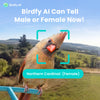 Birdfy Feeder Metal - Smart Metal Feeder with Camera