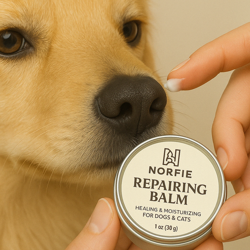 Norfie Repairing Balm  – Natural Healing Balm for Paws, Noses & Elbows
