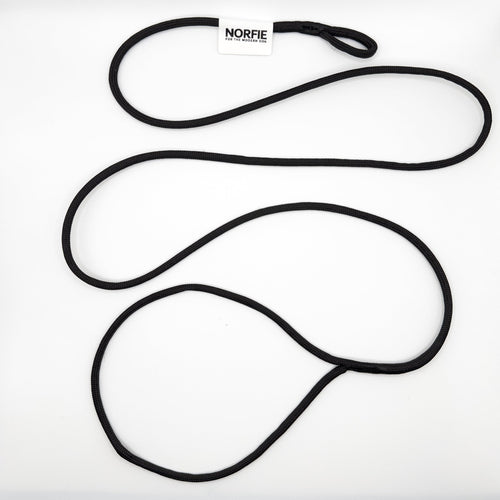 Norfie Champion Nylon Conformation Dog Show Leads
