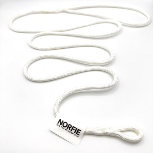 Norfie Champion Nylon Conformation Dog Show Leads