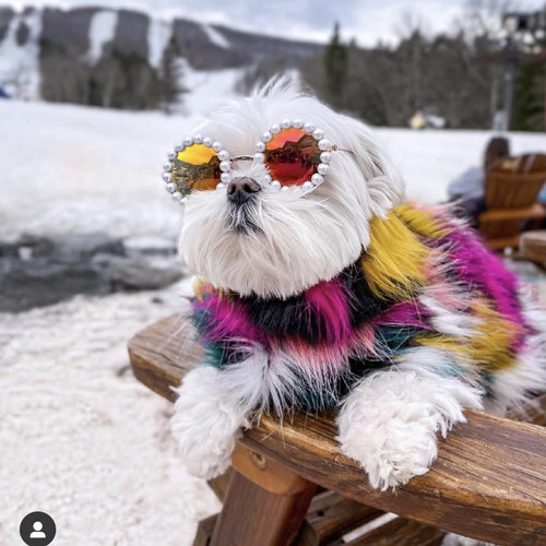Pearl Round Pet Sunglasses for Dogs and Cats