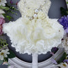 Handmade Luxury Pearl & Rose Lace Pet Dress