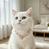 Gold Crown Pet Necklace Gift Box Set