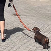 Funny Sausage Dog Leash – Hot Dog Style for Small Pets