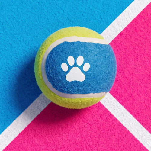 Dog Toy Paw Print Tennis Balls 3-Pack