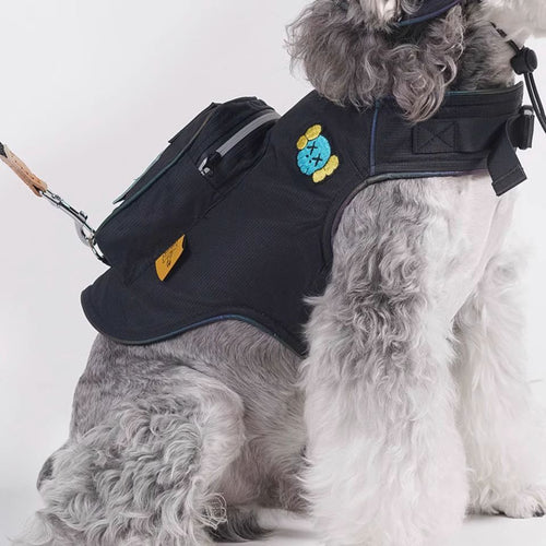 Black Dog Backpack Harness and Hat Set