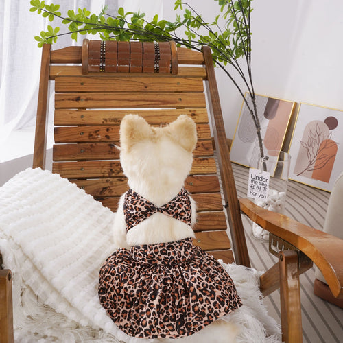 Dog bikini swim wear