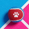 Dog Toy Paw Print Tennis Balls 3-Pack