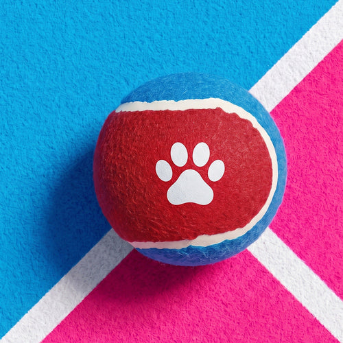 Dog Toy Paw Print Tennis Balls 3-Pack