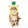 Cute Fruit & Vegetable Pet Hat Collection Banana Corn Peach Apple Cat Costume Hat for Cats & Small Dogs