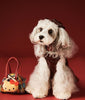 Luxe Leather Pet Beret Dress With Hat