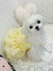 Handmade Elegant Yellow Pearl Princess Dress