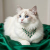 Statement Pet Necklace Gift Box Set