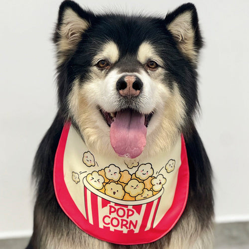 Funny Cartoon Dog Bandana Bibs (4 Designs)