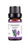 10ML Aromatherapy Water Soluble Essential Oil Plant Diffuse