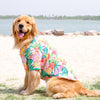 Dog Hawaii beach shirt 3 colors