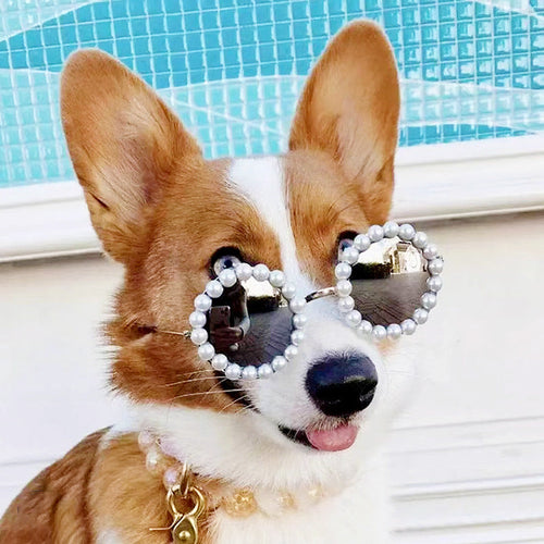 Pearl Round Pet Sunglasses for Dogs and Cats