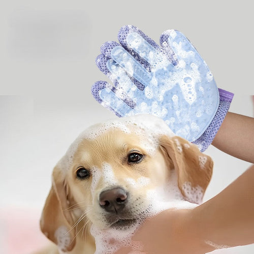 Blue Dual-Sided Pet Grooming Glove for Dogs and Cats