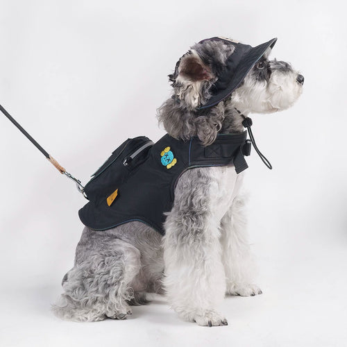Black Dog Backpack Harness and Hat Set